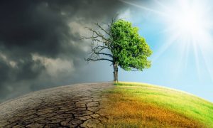 Clima