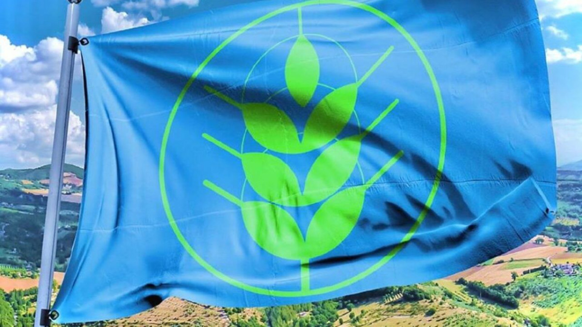 spighe verdi
