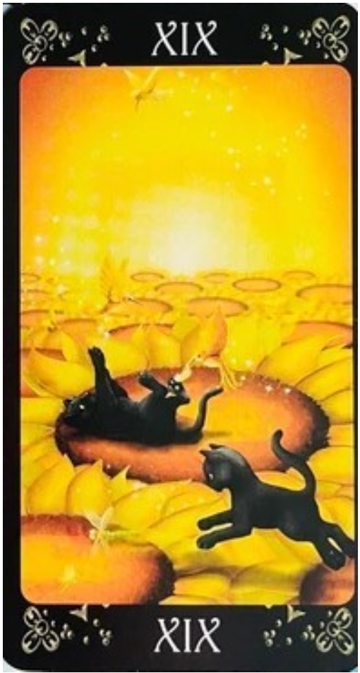...e un Sole brioso e felicissimo nei Black Cats...