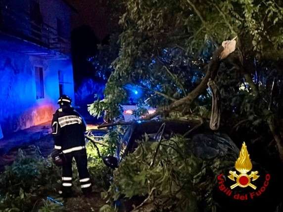 Vigili del fuoco